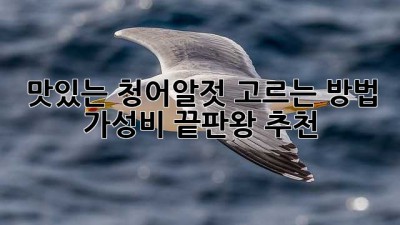 맛있는 청어알젓 고르는 방법: 가성비 끝판왕 추천!